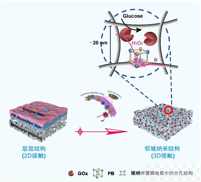 中国科学院过程所开发邻域纳米结构生物传感膜